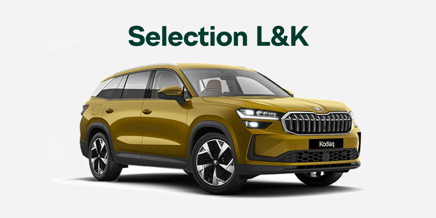 Selection L&K 2.0 TSI 4×4 DSG